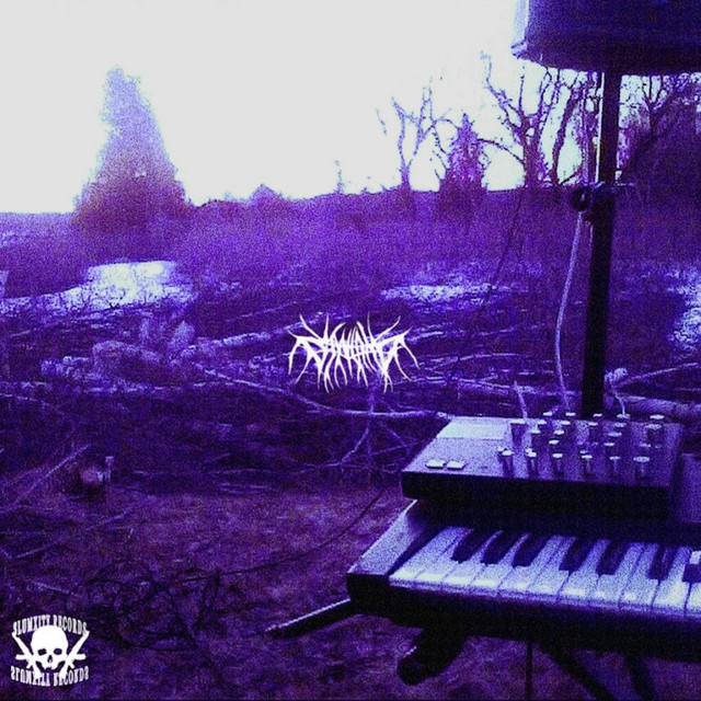 Обкладинка: CAUGHT SLIPPIN — DJ WALKA