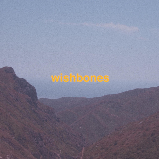 Wishbones