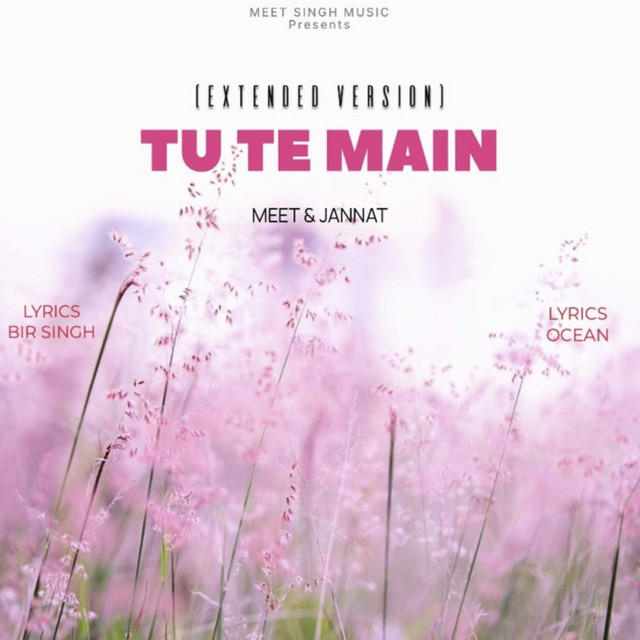 Tu Te Main - Extended Version