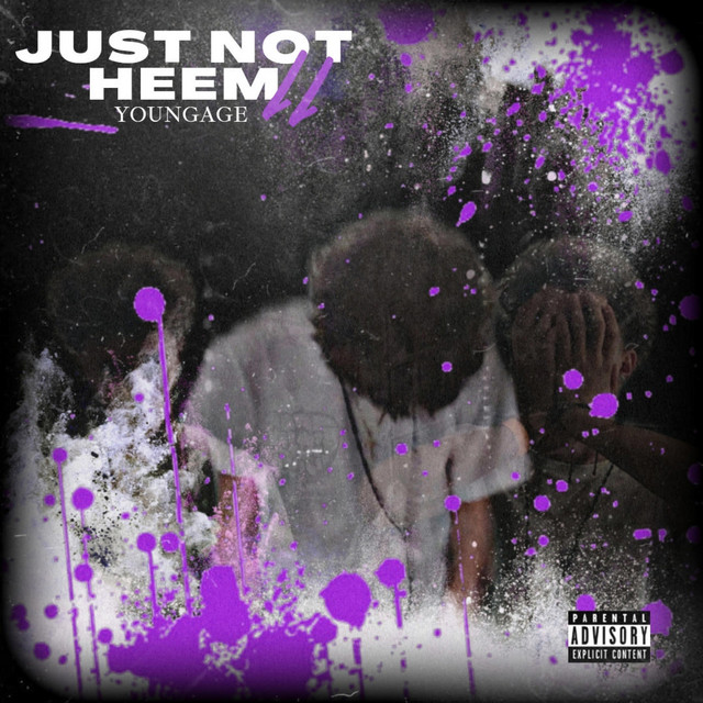 Just Not Heem 2 cover art