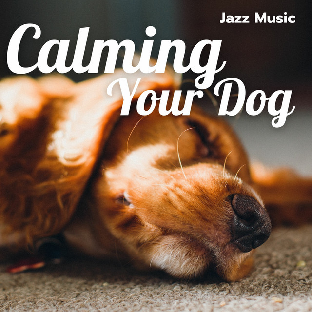 Calming Your Dog with Jazz Music cover art