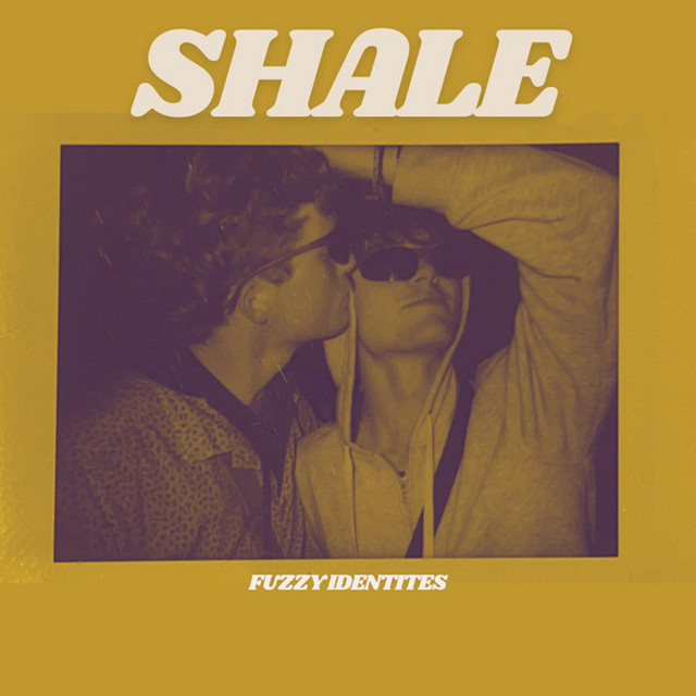 Fuzzy Identities cover art