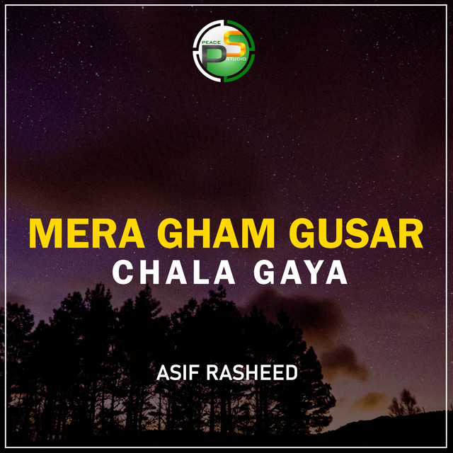 Asif Rasheed | Spotify