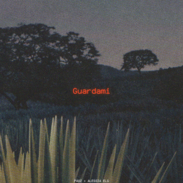 Guardami