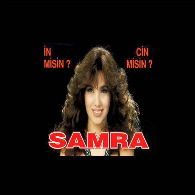 İn misin? Cin misin? cover art