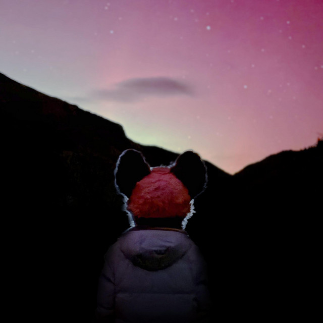 Starchasing cover art