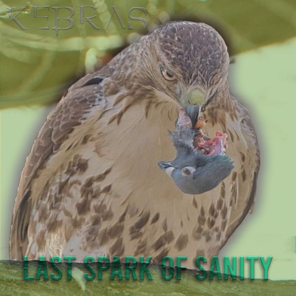 Last Spark of Sanity cover