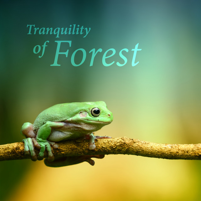 Tranquility of Forest (30 Sounds of Nature Collection, Singing Birds, Crickets, Frogs, Wind & River for Meditation Relaxation, Free Your Mind, Natural Sleep Aid)