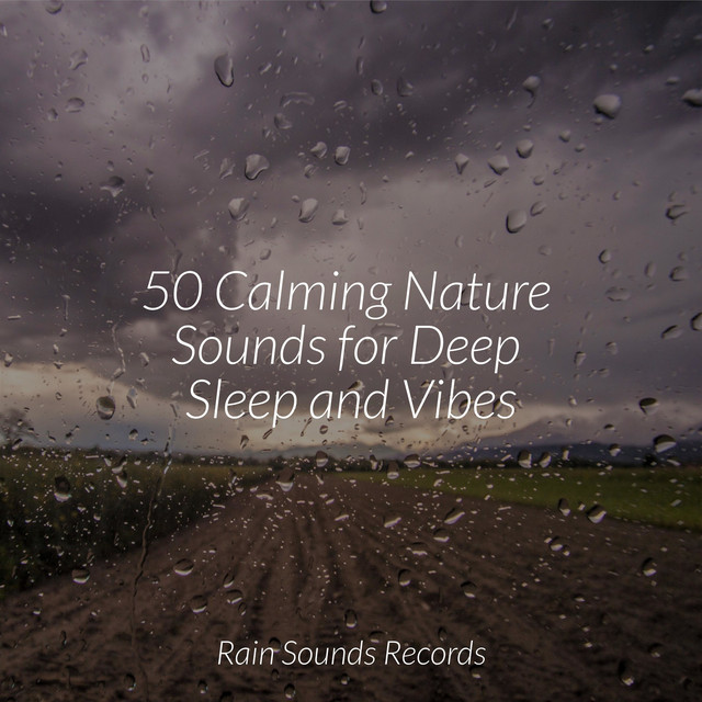 50 Calming Nature Sounds for Deep Sleep and Vibes - Album by ...