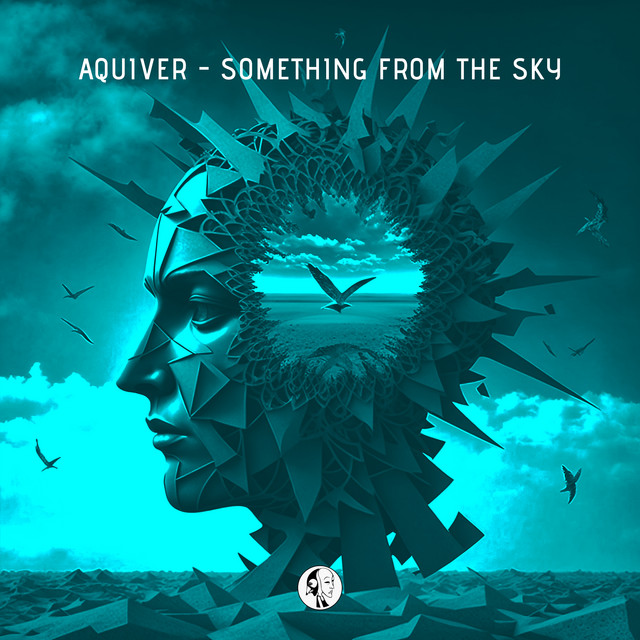 Something From The Sky album art