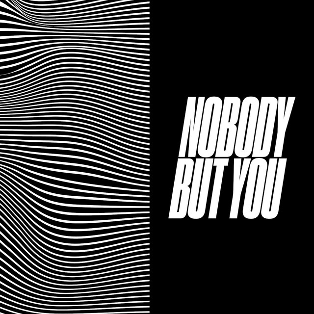 NOBODY BUT YOU cover
