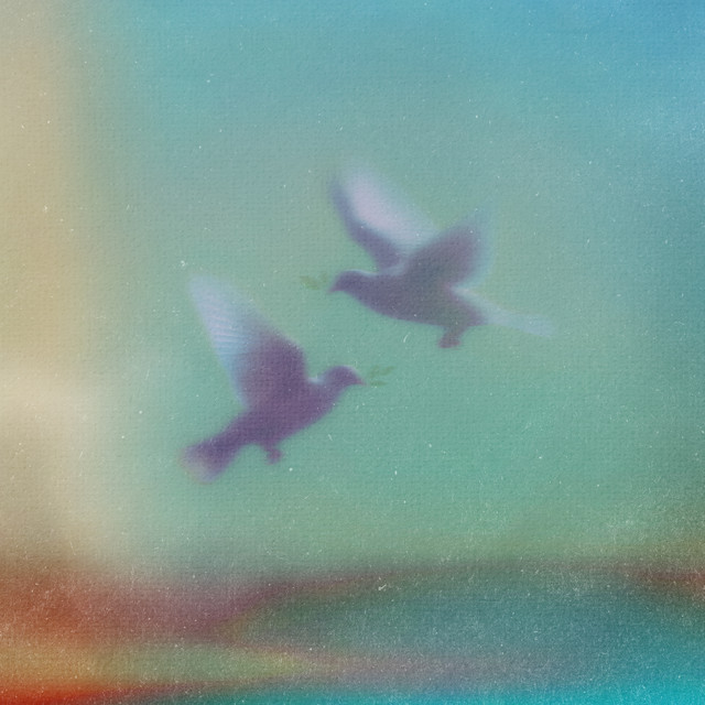 piece of peace cover art