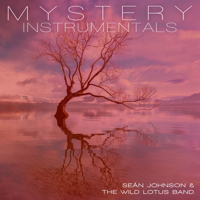 Mystery (Instrumentals) cover art