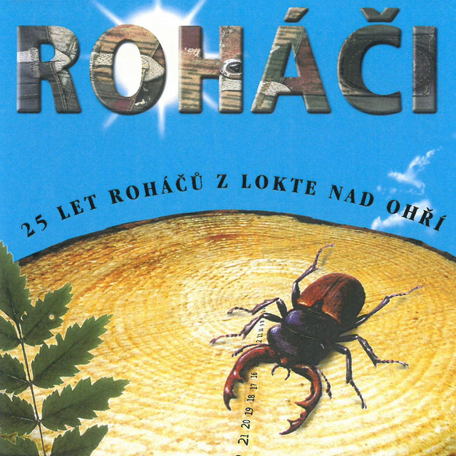 Chlap, co tady chybí - song and lyrics by Roháči | Spotify