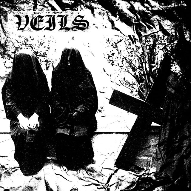 Veils cover art