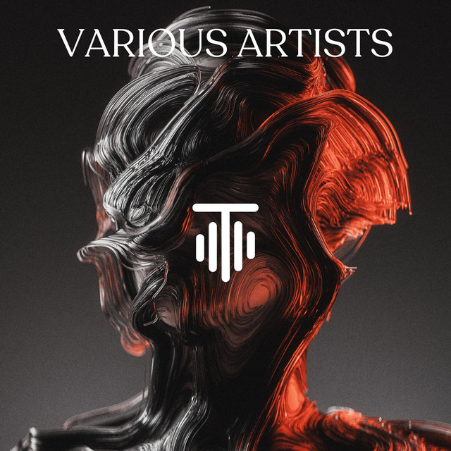 TMT Various Artists 1 cover art