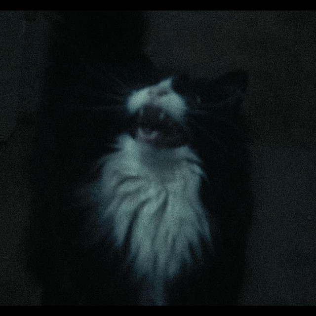 Pet Sematary