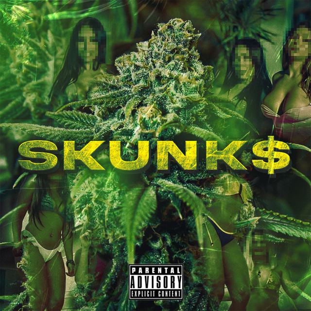 Skunk $