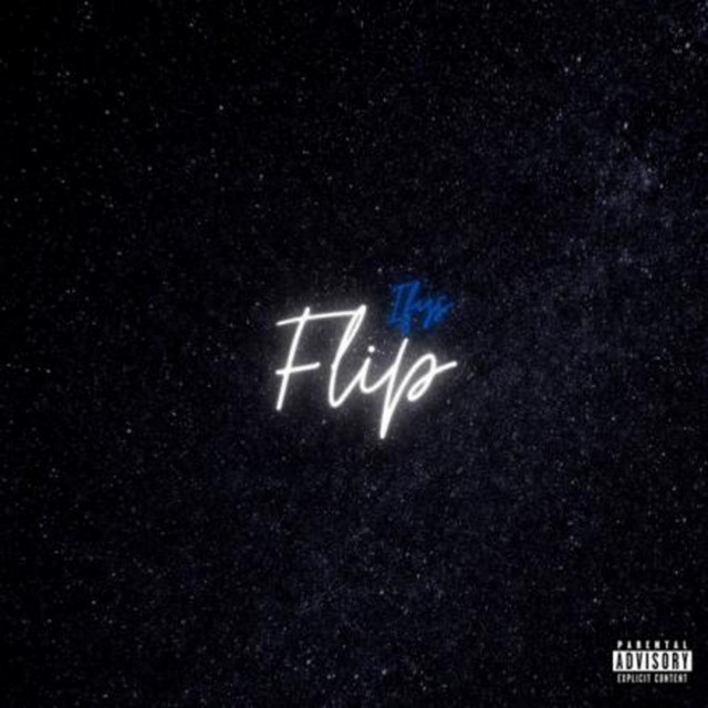 Flip cover art