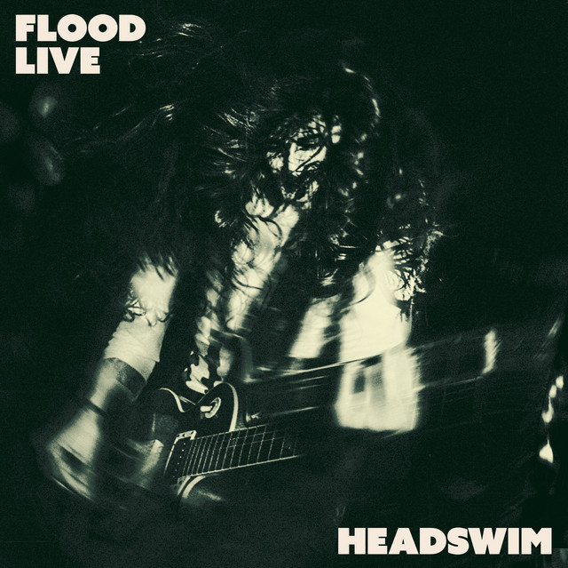 Flood Live cover art