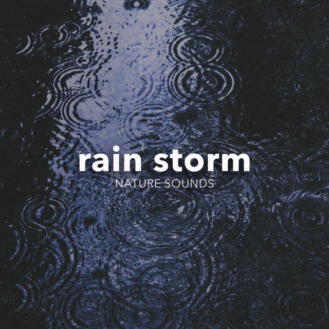 Rain Storm cover art