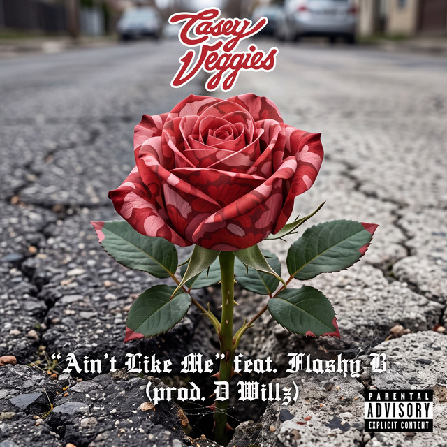 Aint Like Me album image