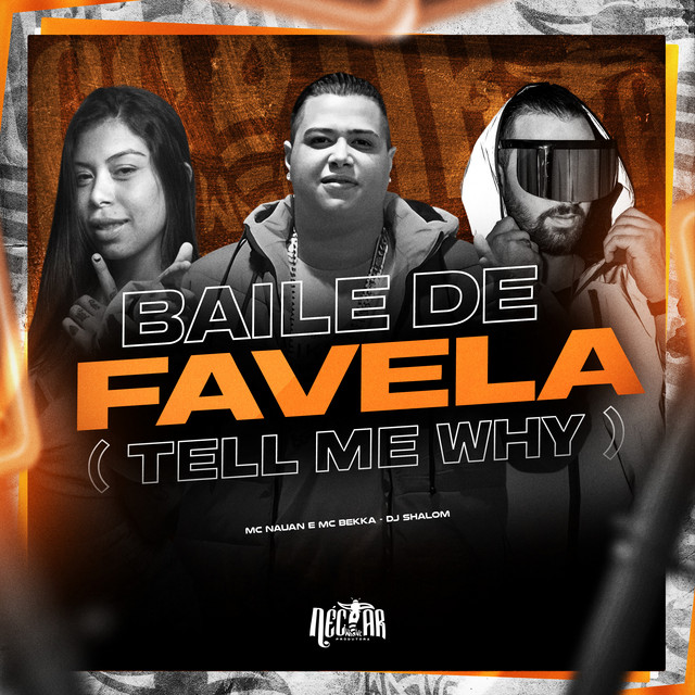 Baile de Favela (Tell Me Why)