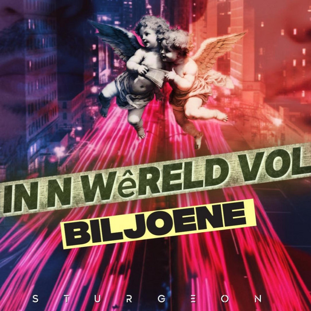 In ñ wêreld vol biljoene cover art