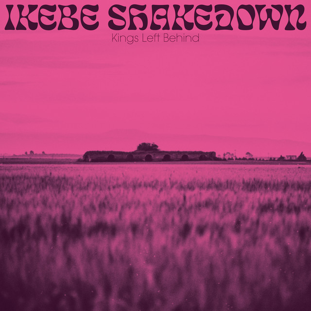 Kings Left Behind cover art