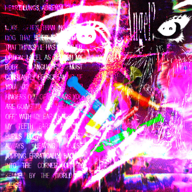 Pioseneczki do poduszeczki cover art