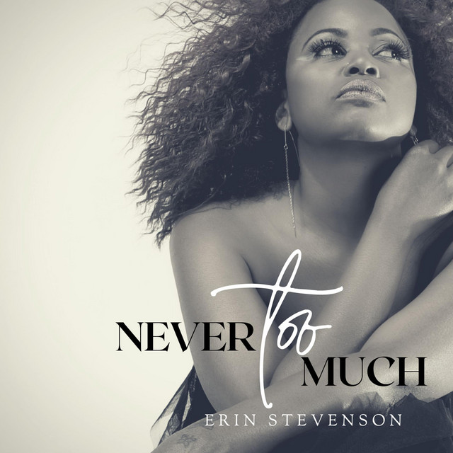 Artwork for Never Too Much