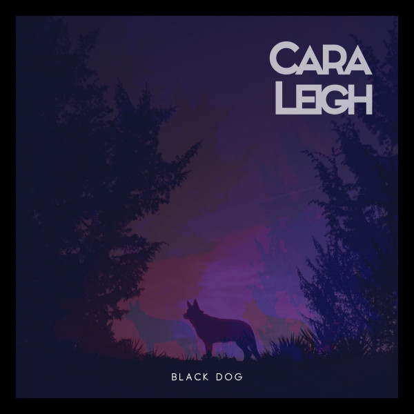 Black Dog cover