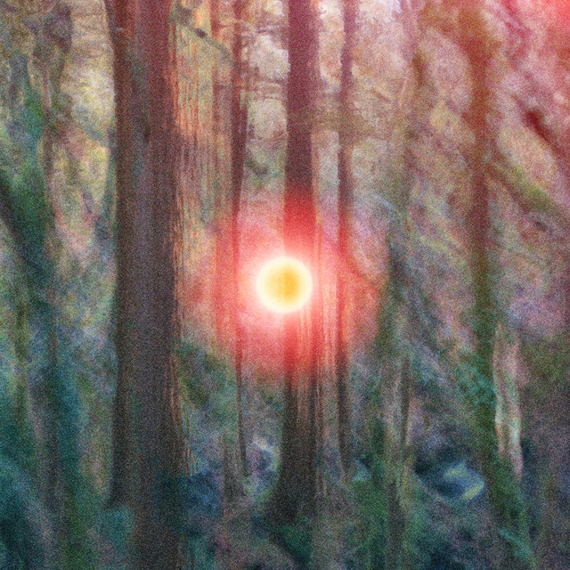 Requiem cover art