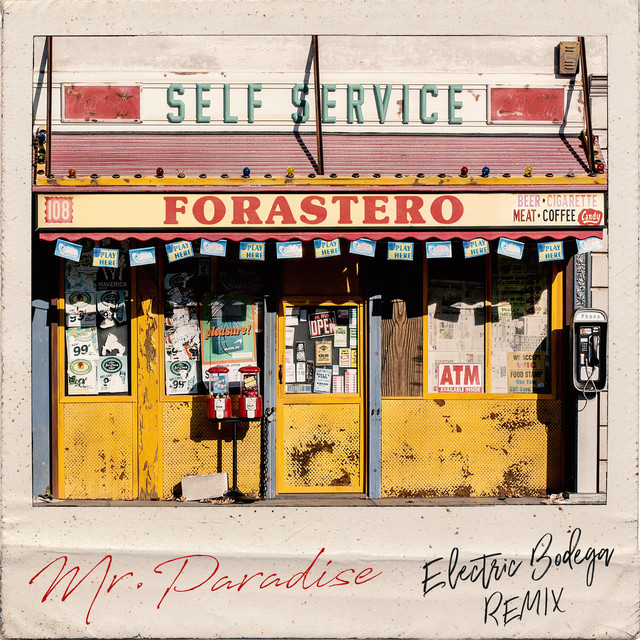 Forastero (Electric Bodega Remix) cover