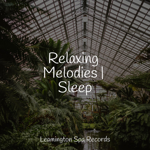 Relaxing Melodies | Sleep - Album by Relaxing Sleep Sound | Spotify