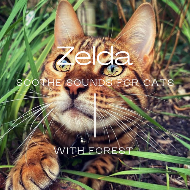 Zelda cover art