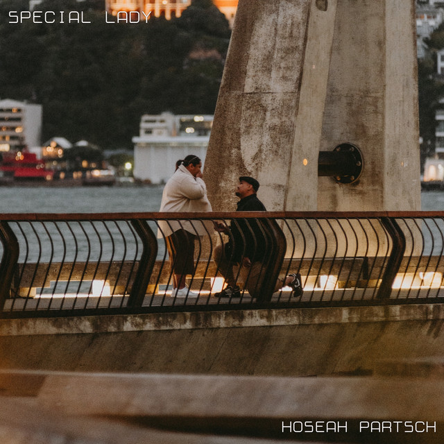 Special Lady cover