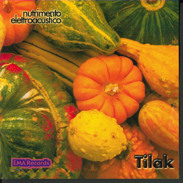 Nutrimento Elettroacustico cover art