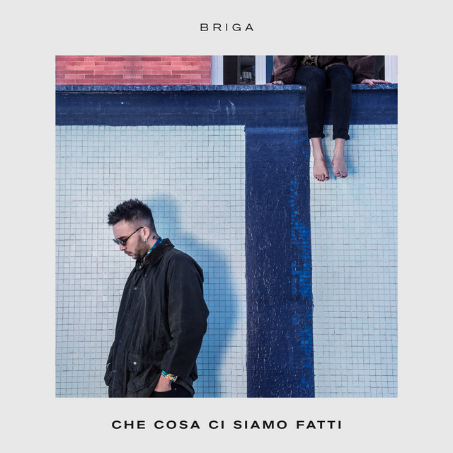 Che cosa ci siamo fatti cover art