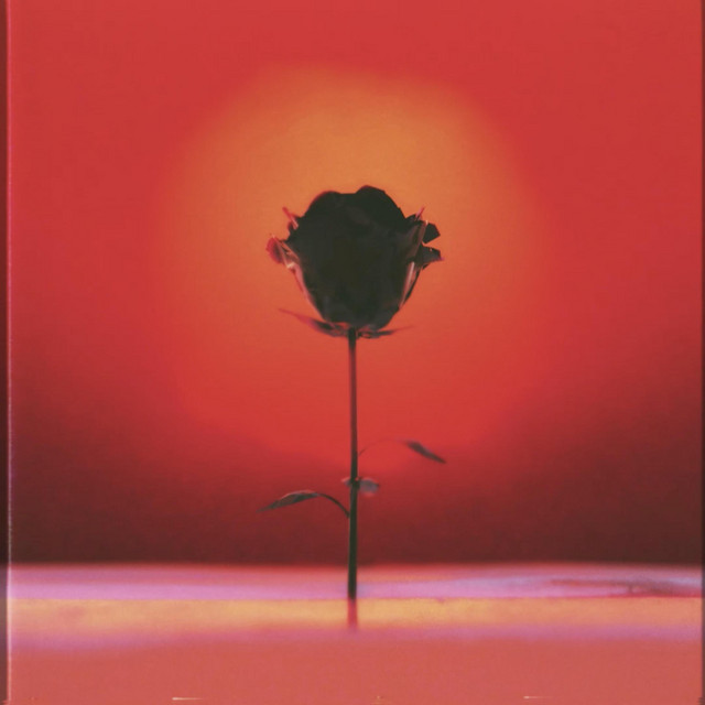 Fantom Flower