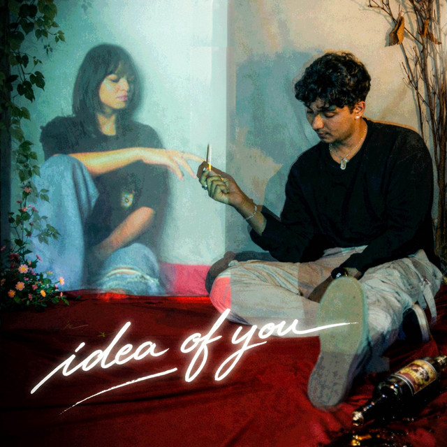 Idea of You cover art
