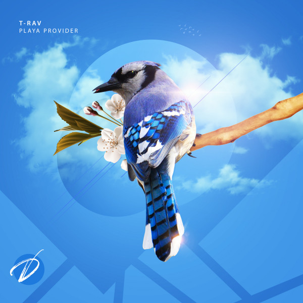 Playa Provider cover art