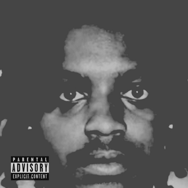 No Mix Just Vibes cover art