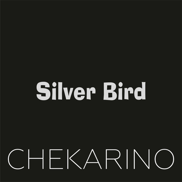 Обкладинка: Silver Bird — Chekarino