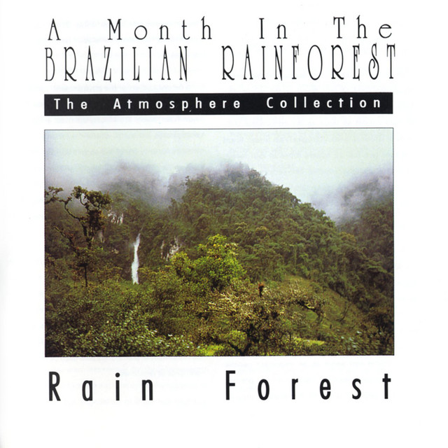 A Month In The Brazilian Rainforest: Rain Forest