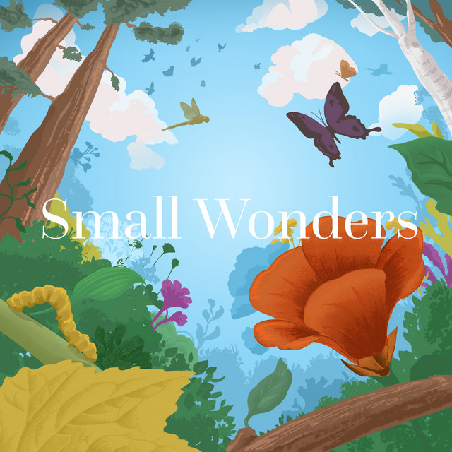 Small Wonders cover art