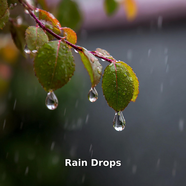 Rain Drops cover art