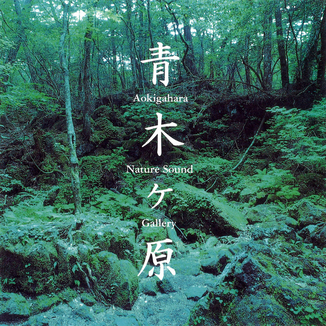 青木ヶ原樹海のサウンド Album By ネイチャー サウンド ギャラリー Spotify