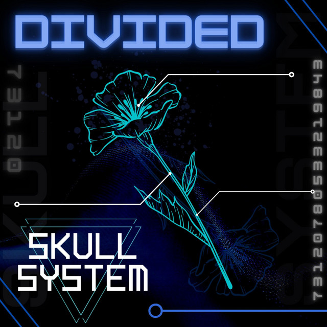 Divided cover art