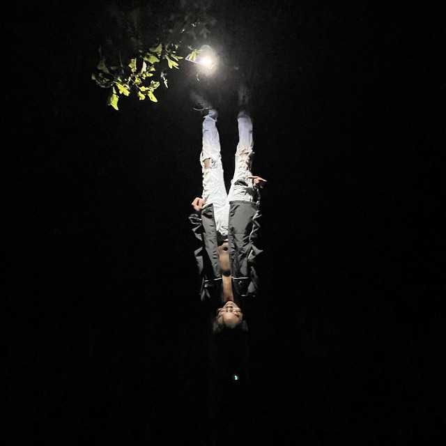 Midnight cover art